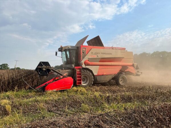 NOW SOLD Massey Ferguson 7274 Cerea - Image 5